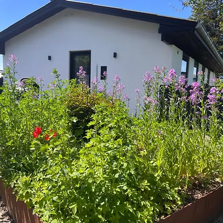 House With A Lovely Location *